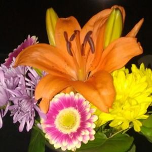 Meet your Posher, Tami